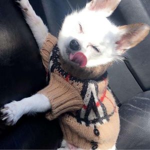 Authentic Burberry Wool Dog Sweater